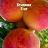 Саженцы Персика Дикрас - 5 шт.: фото и описание