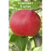 Саженцы Яблони Ред Фри (Red Free) - 5 шт.: фото и описание
